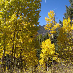 Vallecito Lake Activites